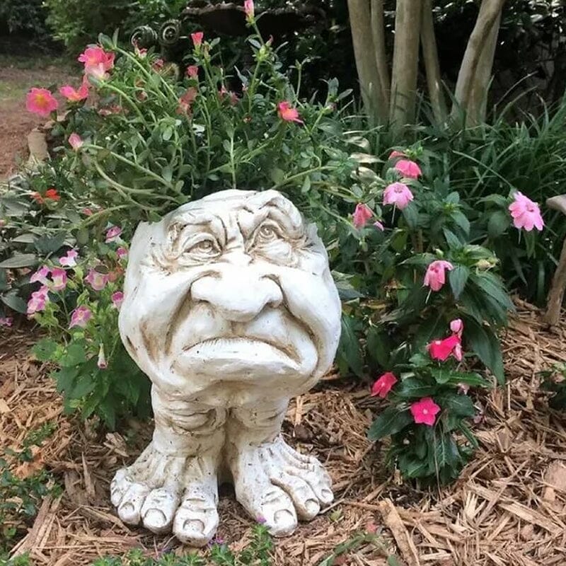 Funny Expression Flowerpot