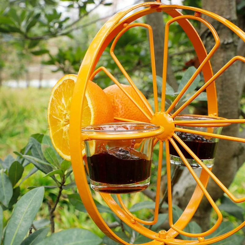 Oriole Bird Feeder Orange