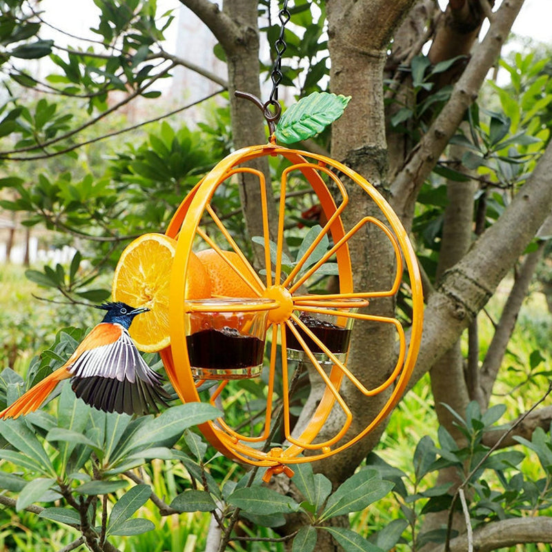 Oriole Bird Feeder Orange