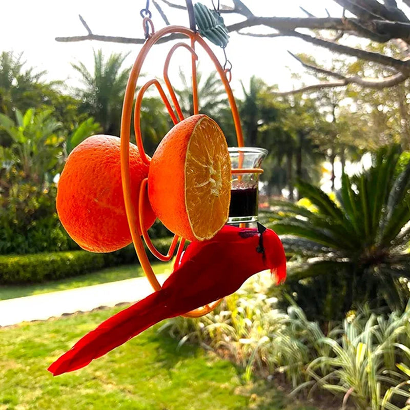 Oriole Bird Feeder Orange