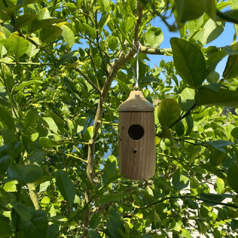 🐦Hummingbird House